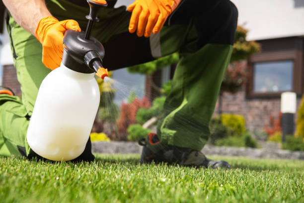 Professional Pest Control in Mart, TX