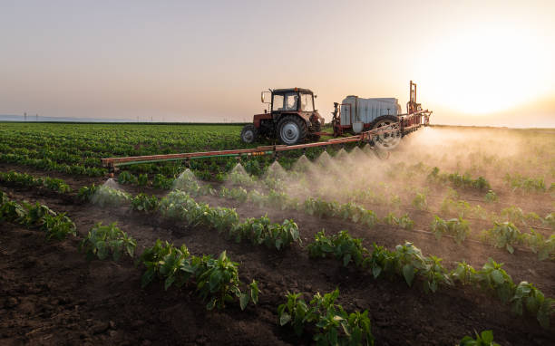 Best Mosquito Control Services  in Mart, TX