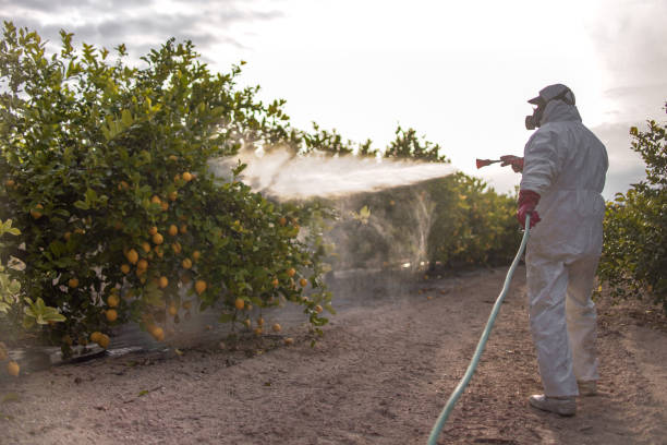 Best Affordable Pest Control Services  in Mart, TX