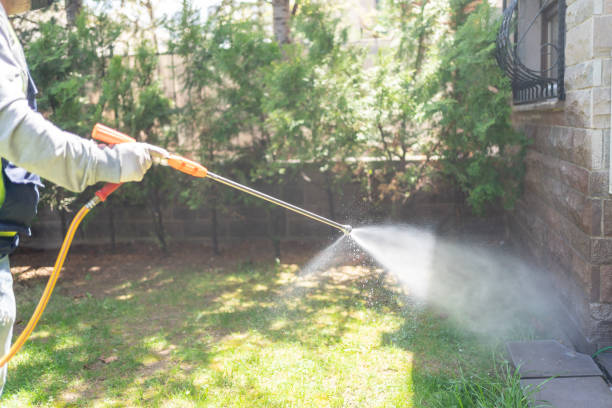 Best Pest Control Near Me  in Mart, TX