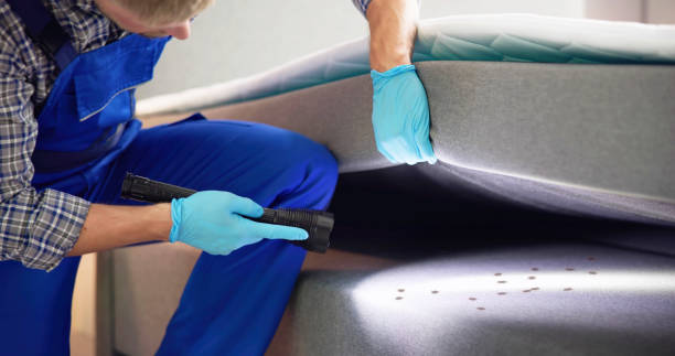 Best Local Pest Control Services  in Mart, TX