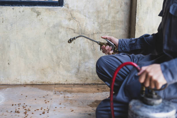Best Emergency Pest Control  in Mart, TX